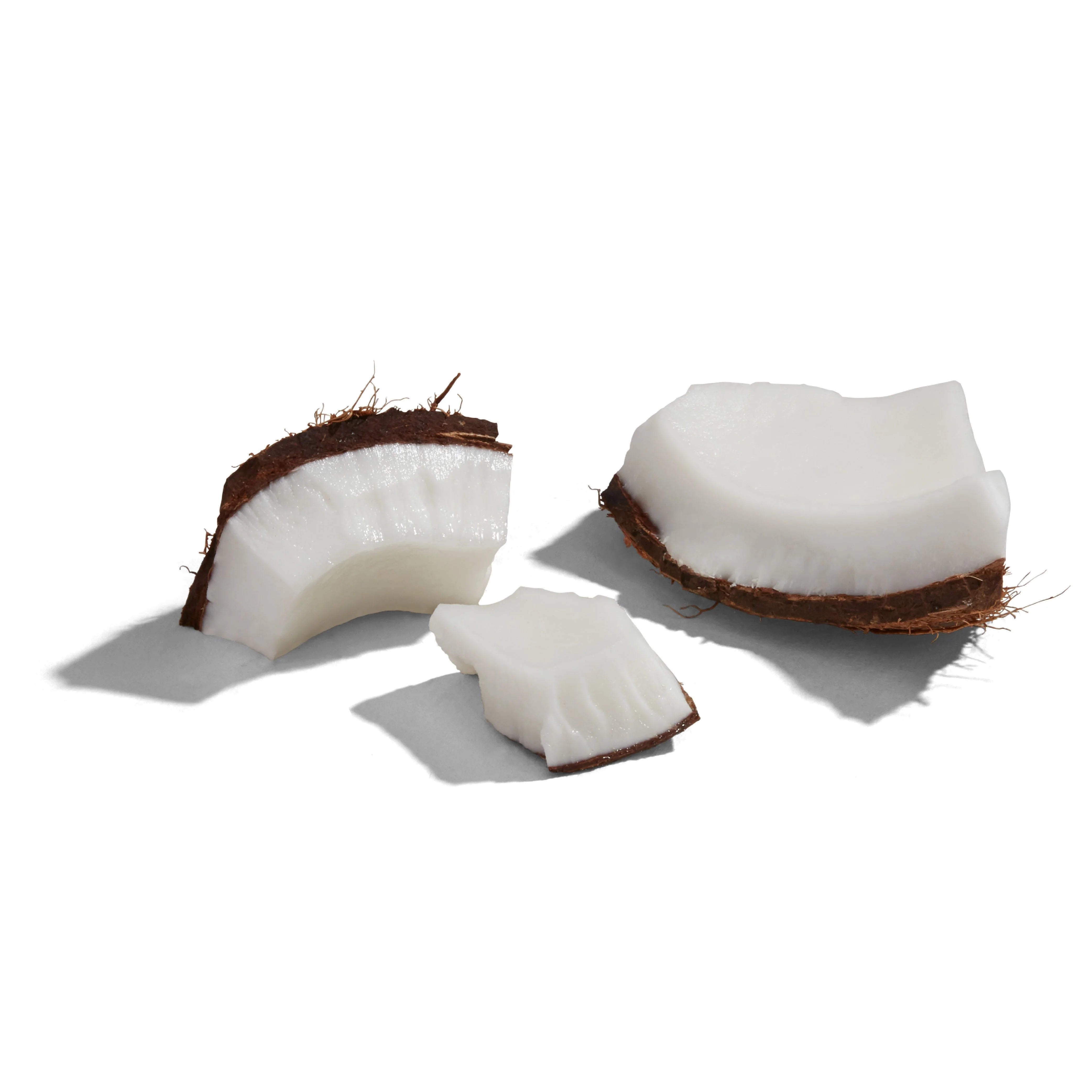 RXBAR Protein Energy Bites Dark Chocolate Peanut Butter